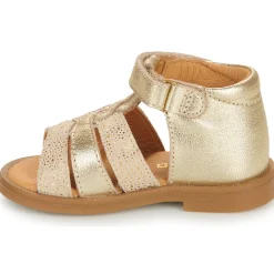 GBB OLENA