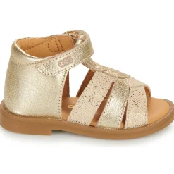 GBB OLENA