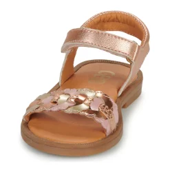 GBB PRUNELLE