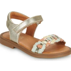 GBB PRUNELLE