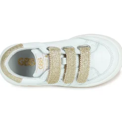 GBB TELENA