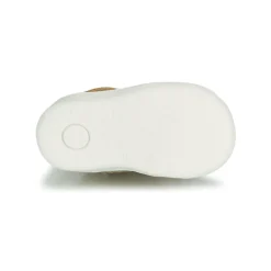 GBB VIGO