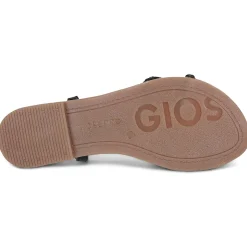 Gioseppo nioaque