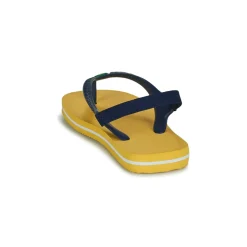 Havaianas BRASIL LOGO