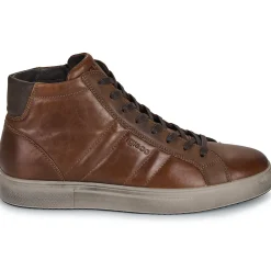 IgI&CO U.SACHA
