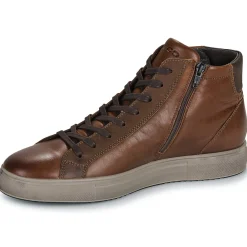 IgI&CO U.SACHA