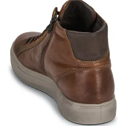 IgI&CO U.SACHA