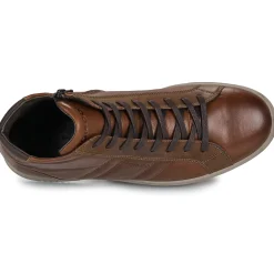 IgI&CO U.SACHA