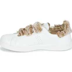 Ippon Vintage FLIGHT POLAR