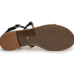 JB Martin GRIOTTES