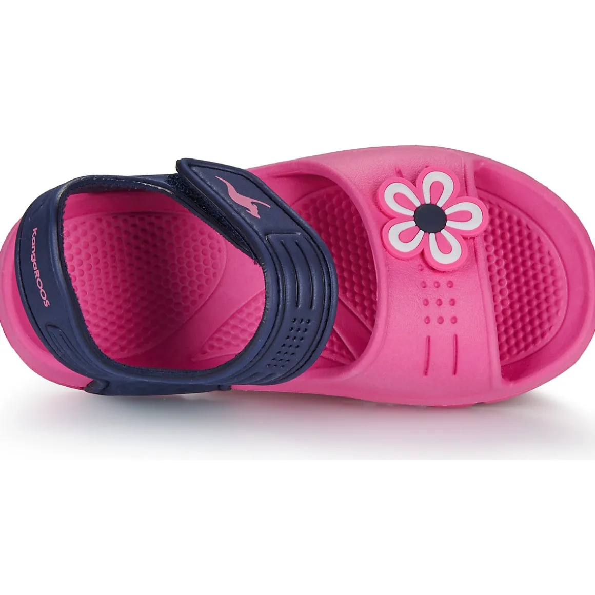 Kangaroos KangaSwim II