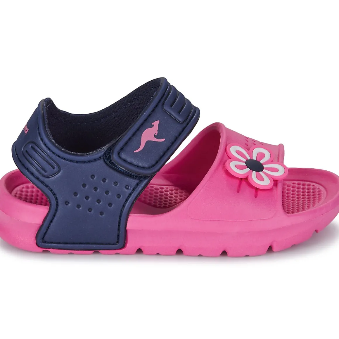 Kangaroos KangaSwim II