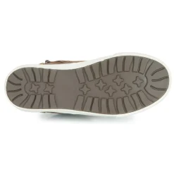 Kangaroos KAVU
