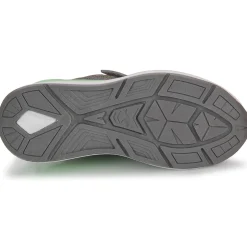 Kangaroos KD-GYM EV