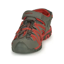 Kangaroos OSATO