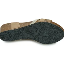 Kilesandaler Plakton