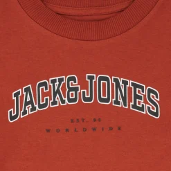 Langærmede T-shirts Jack & Jones