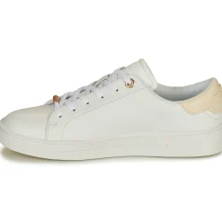 Lave sneakers Ted Baker