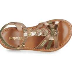 Les Tropeziennes par M.Belarbi BADAMI
