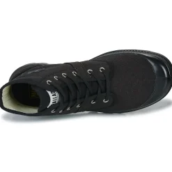 Palladium PALLABROUSSE