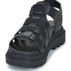 Palladium Pallacruise