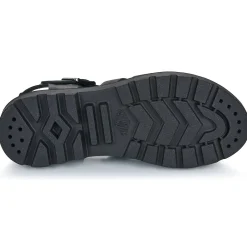 Palladium Pallacruise