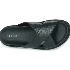 Pellet FELIPE