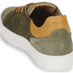 Pellet JOSEPH