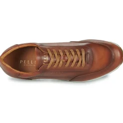 Pellet MARC