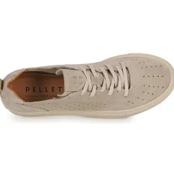 Pellet SANDRON