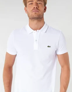 Polo-t-shirts m. korte ærmer Lacoste