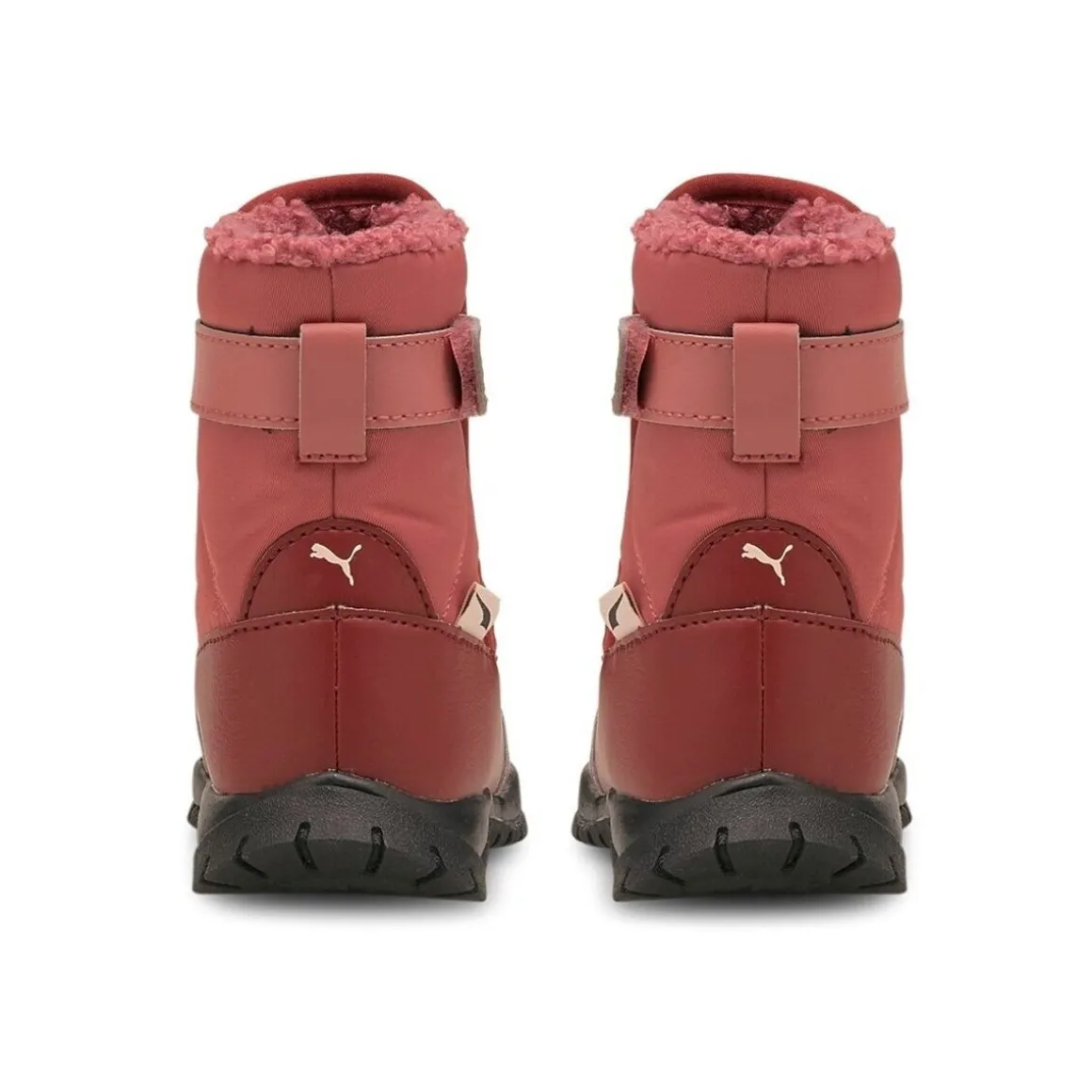 Puma Nieve