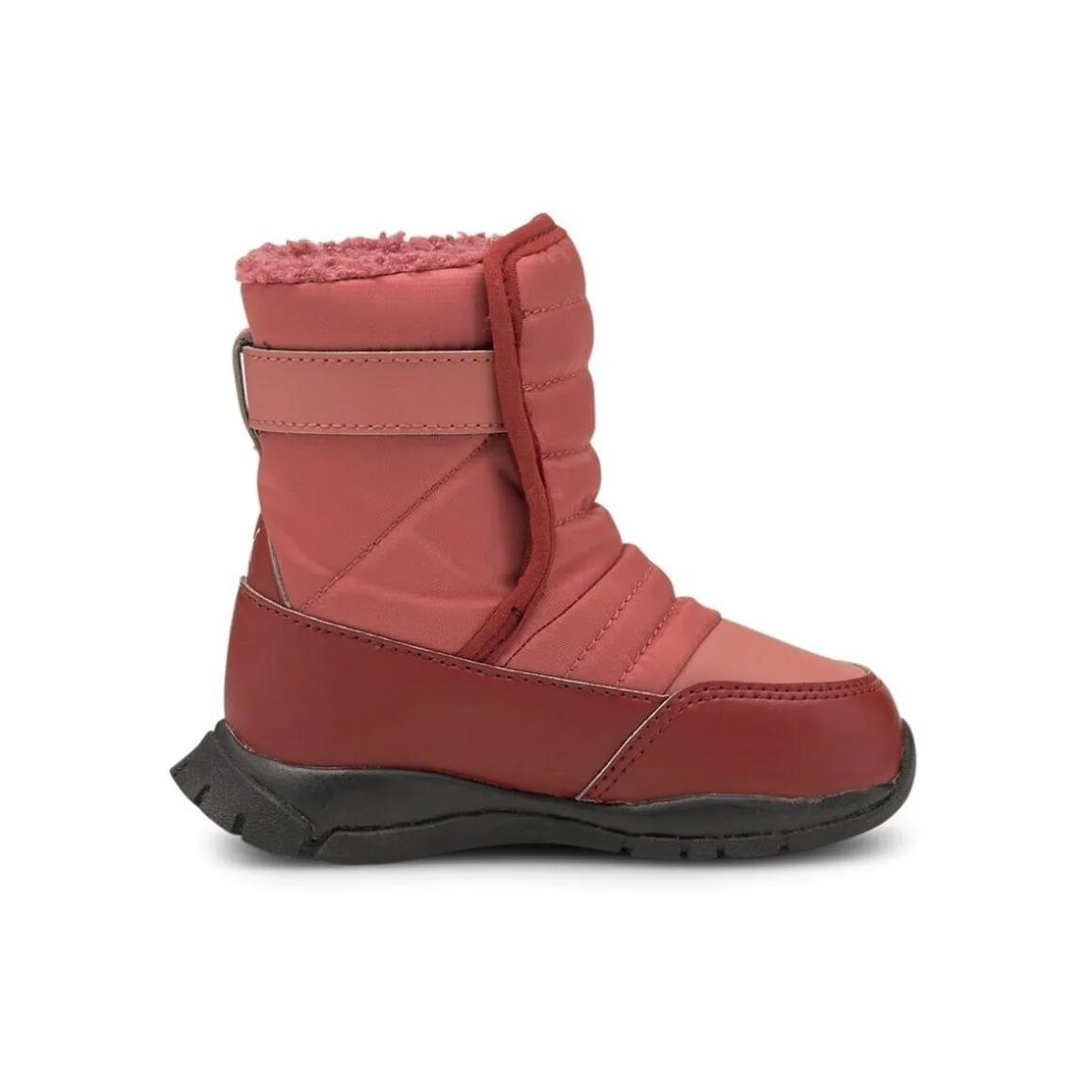 Puma Nieve