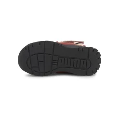 Puma Nieve