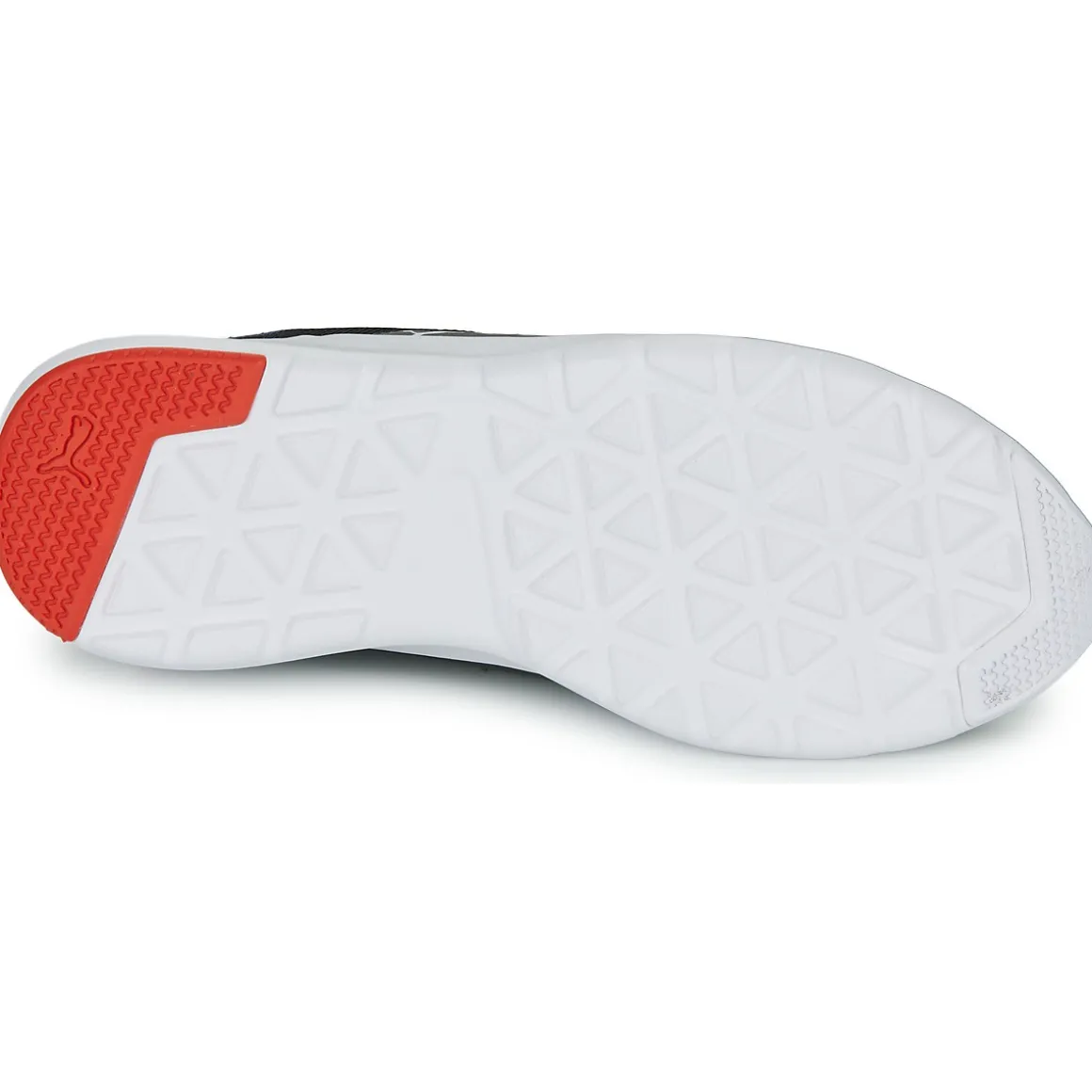 Puma Wired