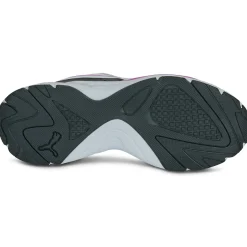Puma X-ray