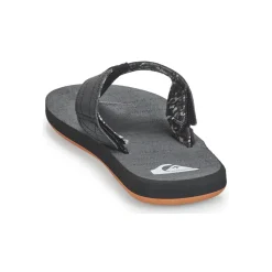 Quiksilver Carver