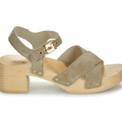 Scholl PESCURA CATE