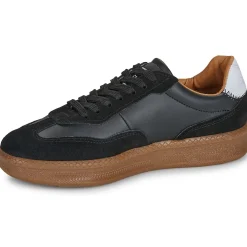 Steve Madden EUPHORIA