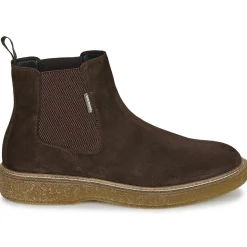Støvler Barbour
