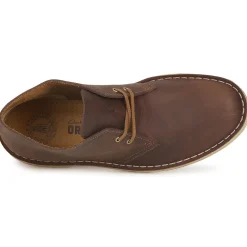 Støvler Clarks