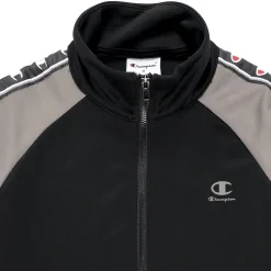 Sweatshirts Champion