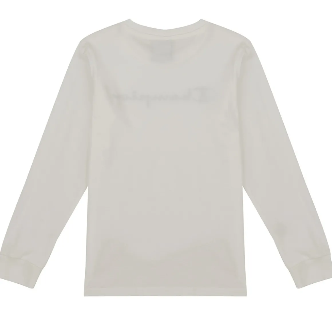 Sweatshirts Champion