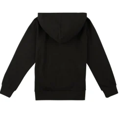Sweatshirts m. hætte Champion