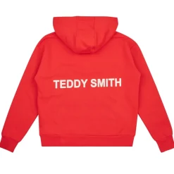 Sweatshirts m. hætte Teddy Smith