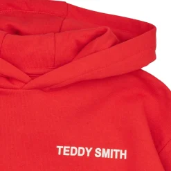 Sweatshirts m. hætte Teddy Smith