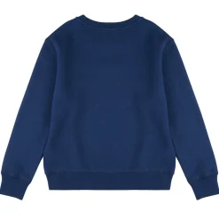 Sweatshirts Polo Ralph Lauren