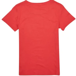 T-shirts m. korte ærmer Teddy Smith