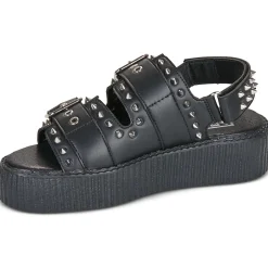 TUK VIVA HI CREEPER