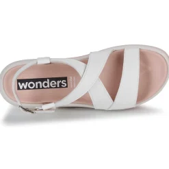 Wonders WILD